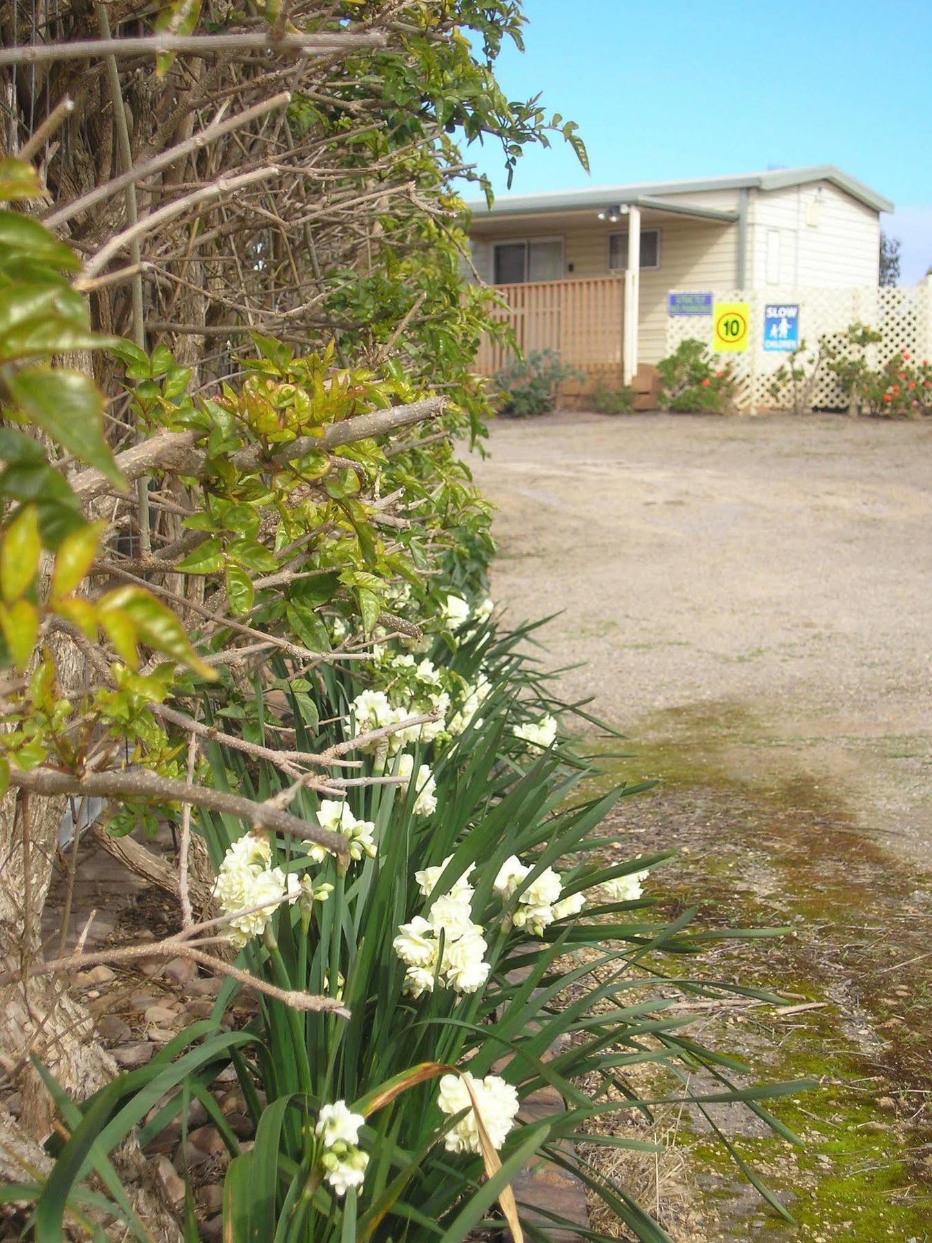 Moonta Bay Accommodation Port Moonta Bagian luar foto