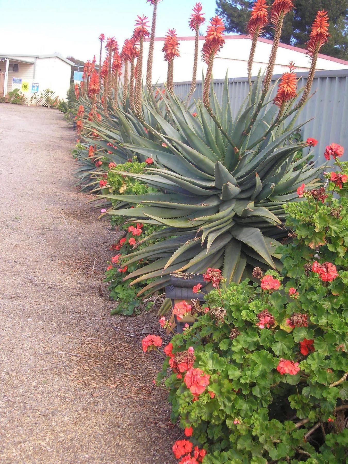 Moonta Bay Accommodation Port Moonta Bagian luar foto
